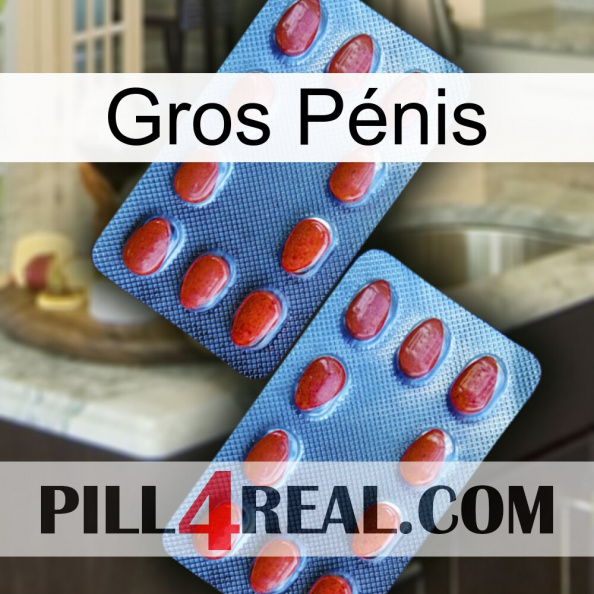 Gros Pénis 05.jpg